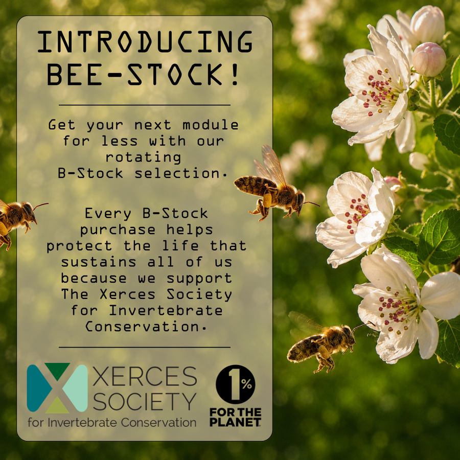 Bee-Stock