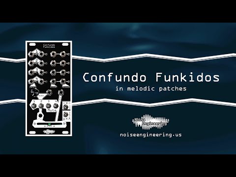 Load and play video in Gallery viewer, Confundo Funkidos
