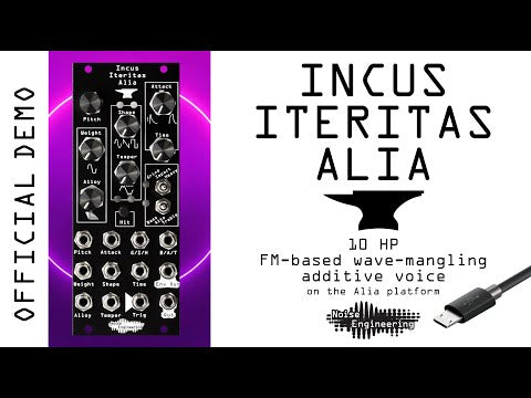 Load and play video in Gallery viewer, Incus Iteritas Alia
