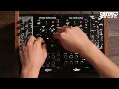 Load and play video in Gallery viewer, Perfect Circuit demo video using the Basimilus Iteritas Alter and the Manis Iteritas Magnus.
