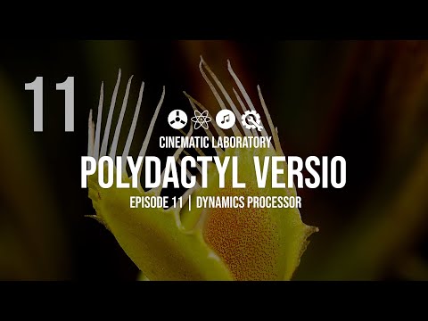 Load and play video in Gallery viewer, Polydactyl Versio
