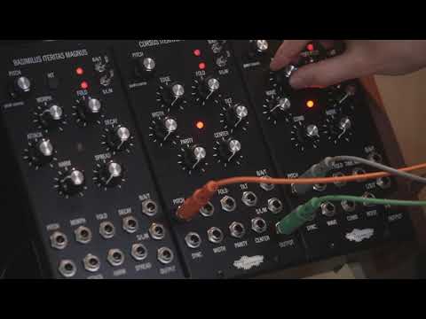 Load and play video in Gallery viewer, A melody and bassline from Ataraxic Iteritas Alter and Cursus Iteritas Magnus by Noise Engineering. 
